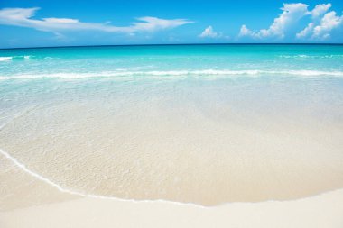 Karayip denizi ve tropikal plajı