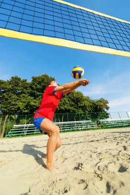 Genç profesyonel voleybol oyuncusu.