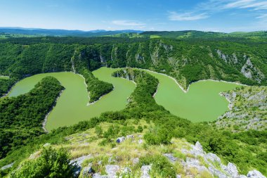 Güneşli bir günde gölü olan yeşil ormanın havadan görünüşü, Bulgaria