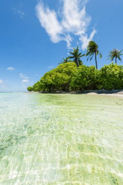 Maldivler adalarındaki güzel tropikal plajlar 