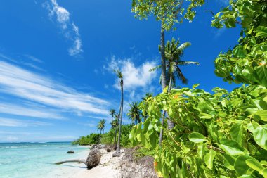 Güzel bir tropikal ada. doğa arkaplanı