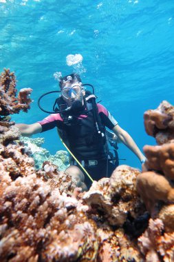                                Adam sığ bir resifte şnorkelle yüzüyor. Su altı manzaralı..