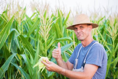 Genç çiftçi elinde mısır kabuğu, kameraya bakıyor, başparmağını kaldırıyor.