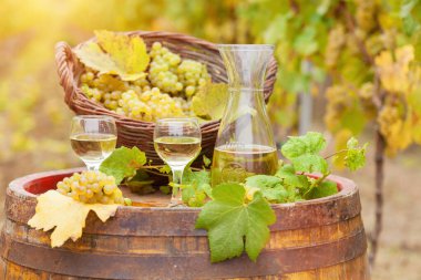 Bardakta beyaz şarap, sürahi ve taze üzüm.