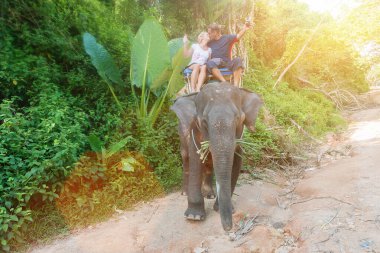 Mutlu çift fil yolculuğunun tadını çıkarıyor.