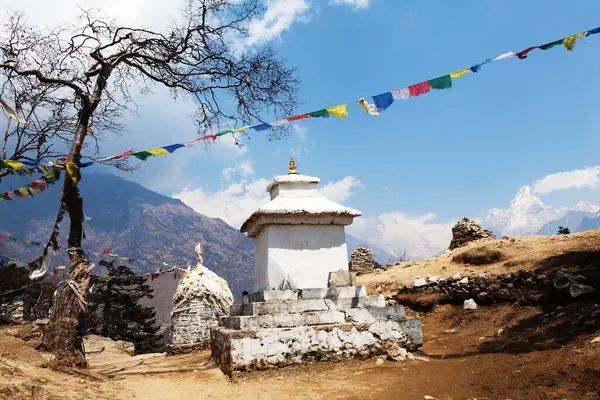 Himalaya dağlarında renkli bayrakları olan Budist bir ahmak.