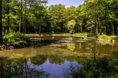 Polonya, Dabrowa Gornicza 'daki 