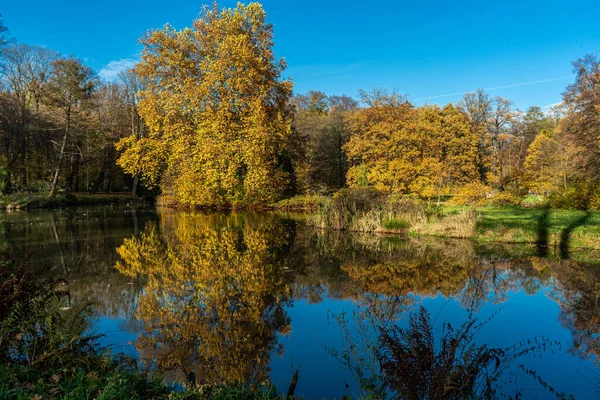 Beautiful Pond Pszczyna Park Silesia Poland — Stock Photo, Image