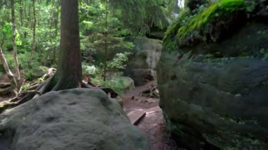 Bledne skaly (Errant Rocks) - Güney Polonya 'daki Masa Dağları' nda turistik bir yer.