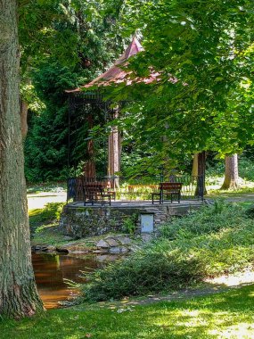 Duszniki Zdroj 'daki yeşil gölet