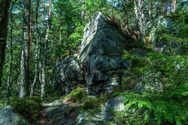 Szczytna, Lower Silessia, Polonya 16 Ağustos 2023. Polanica Zdroj yakınlarındaki Szczytnik tepesindeki Calvary Dağı.