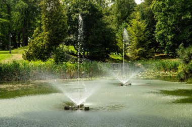 Çeşme Czestochowa kasabasında parkta.