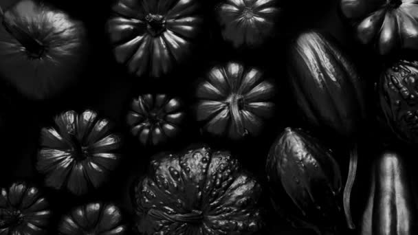 Diferentes Tipos Calabazas Pequeñas Pintadas Negro Colocadas Sobre Fondo Oscuro — Vídeo de stock