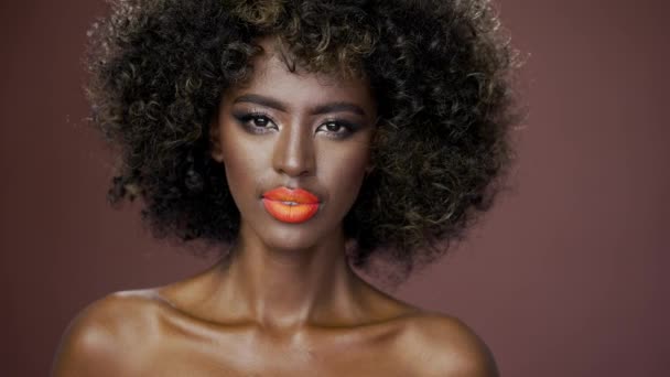 Belo Retrato Lindo Modelo Moda Afro Americano Com Ombros Nus — Vídeo de Stock