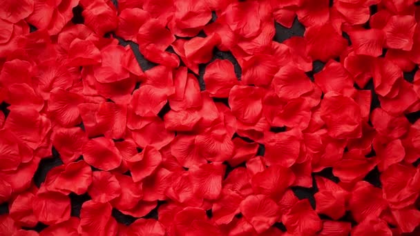 背景美丽的红玫瑰花瓣 情人节或爱情的概念 带复制空间的顶视图 — 图库视频影像
