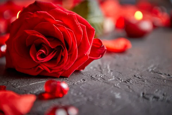 Concepto Amor San Valentín Rosa Roja Pétalos Velas Accesorios Para —  Fotos de Stock
