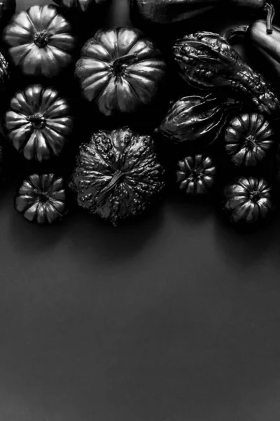 Top View Bunch Small Squashes Covered Black Paint Placed Dark Stock Image