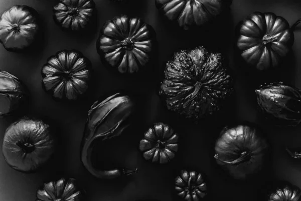 在黑暗背景下排列的黑色小南瓜的全景全景背景 免版税图库图片