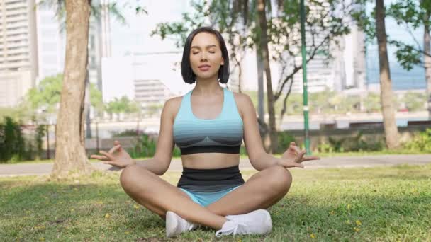 Una Joven Forma Disfruta Una Tranquila Sesión Yoga Aire Libre — Vídeo de stock