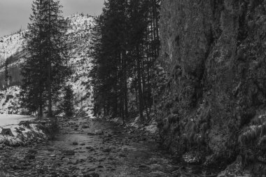 Kış mevsiminde Tatra Dağları 'nın Kantaka Kapısı' ndaki Koscieliska Vadisi 'ndeki doğal akarsu.