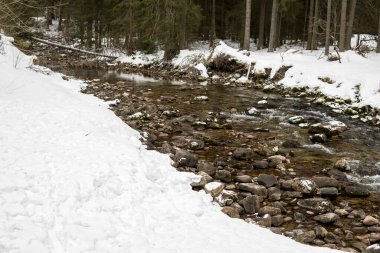 Tatra Dağları 'ndaki Koscieliska Vadisi' nde kış mevsiminde kar örtülü doğal dere