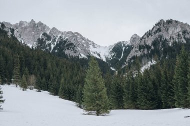 Tatra Dağlarının doğal manzarası kış mevsiminde Koscieliska Vadisi 'nden görüldü