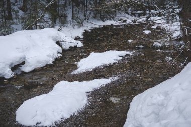 Strazyska Vadisi 'ndeki Strazyska deresi Polonya' nın Tatra Ulusal Parkı 'nda kış mevsiminde