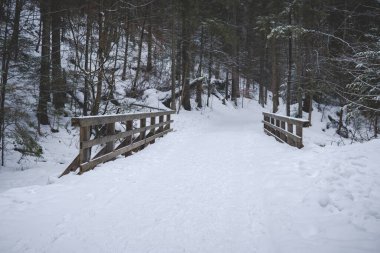 Tatra Dağları 'nda karla kaplı derenin üzerindeki küçük ahşap köprü
