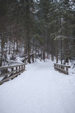 Tatra Dağları 'nda karla kaplı derenin üzerindeki küçük ahşap köprü