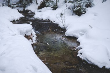 Strazyska Vadisi 'ndeki Strazyska deresi Polonya' nın Tatra Ulusal Parkı 'nda kış mevsiminde