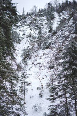 Tatra Dağları 'ndaki Strazyska Vadisi' ndeki dik tepe buz ve karla kaplı.