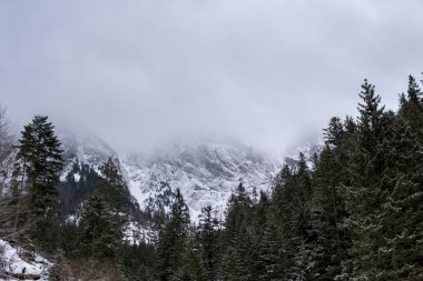 Tatra Dağları kış mevsiminde bulutlarla kaplıdır