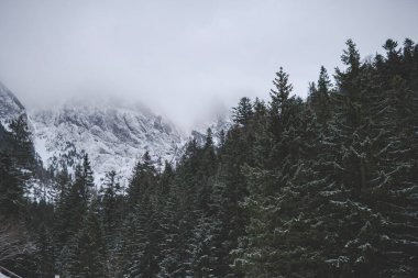 Tatra Dağları kış mevsiminde bulutlarla kaplıdır