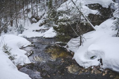 Strazyska Vadisi 'ndeki Strazyska deresi Polonya' nın Tatra Ulusal Parkı 'nda kış mevsiminde