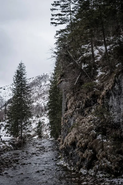 Kış Mevsiminde Tatra Dağları Nın Kantaka Kapısı Ndaki Koscieliska Vadisi — Stok fotoğraf