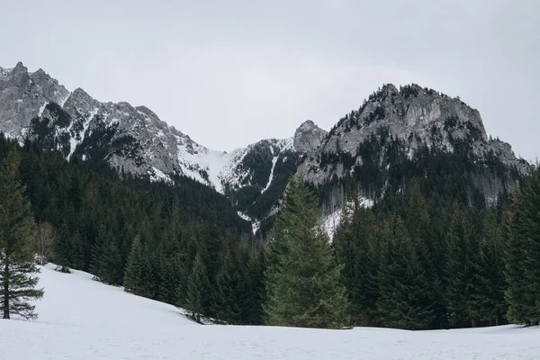 Tatra Dağlarının Doğal Manzarası Kış Mevsiminde Koscieliska Vadisi Nden Görüldü — Stok fotoğraf