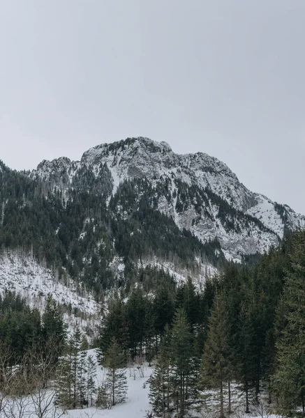 Tatra Dağlarının Doğal Manzarası Kış Mevsiminde Koscieliska Vadisi Nden Görüldü — Stok fotoğraf