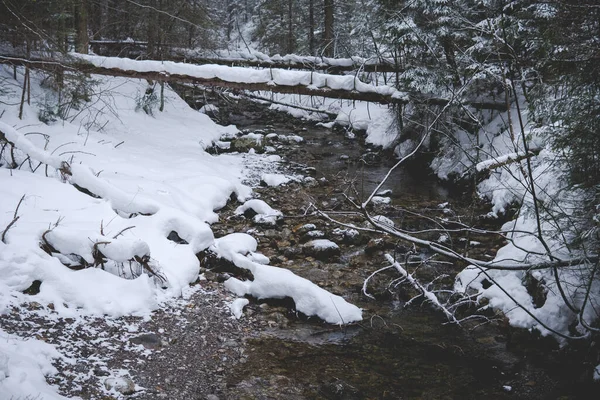 Strumień Strazyski Dolinie Strazyskiej Tatrzańskiego Parku Narodowego Polsce Sezonie Zimowym — Zdjęcie stockowe