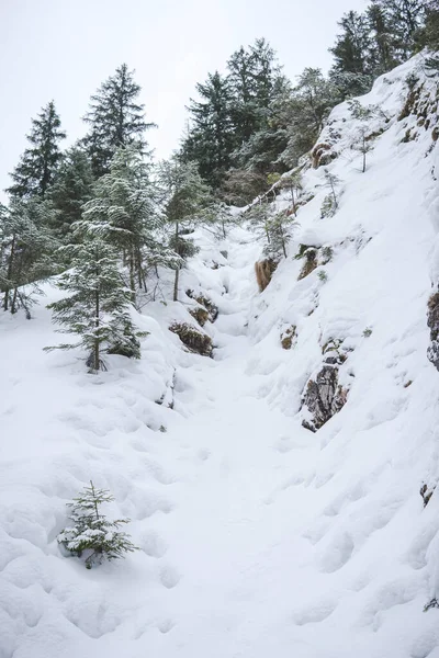 Karla Kaplı Dik Bir Tepenin Ayrıntıları — Stok fotoğraf