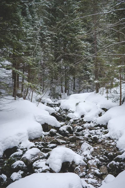 stock image Strazyski stream in Strazyska Valley in Tatra National Park in Poland during winter season