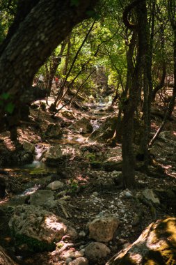 Yunanistan 'ın Rodos adasındaki ağaçlı ve büyük taşlı bir vadide küçük bir dere.