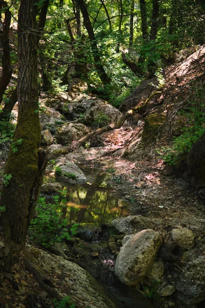 Paisagem Natural Com Pequeno Riacho Dentro Vale Cheio Rochas Árvores — Fotografia de Stock