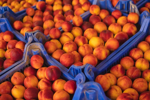 Detail Large Number Fresh Nectarines Friut Shop — Stock Photo, Image