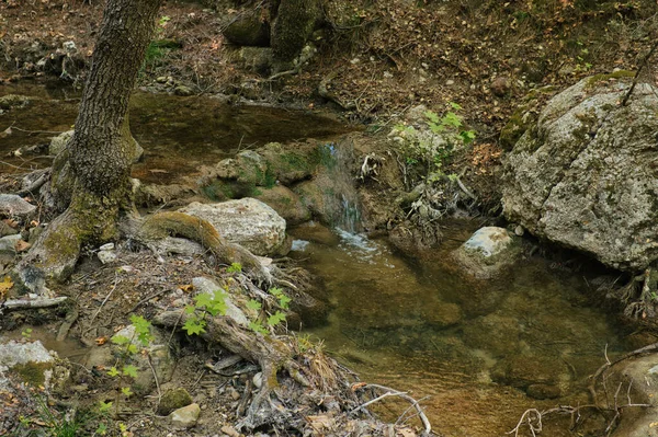 Kis Patak Egy Völgyben Fák Nagy Kövek Rodosz Szigeten Görögországban — Stock Fotó