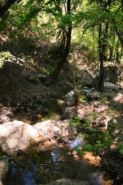 Petit Ruisseau Dans Une Vallée Avec Des Arbres Grandes Pierres — Photo