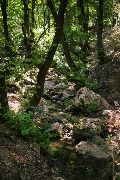在充满岩石和树木的山谷里有一条小河的自然景观 — 图库照片