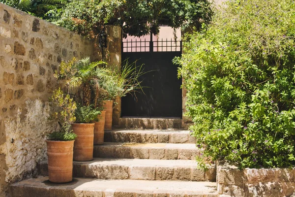 希腊罗得岛中世纪城市的建筑 有大量的绿色植物 — 图库照片