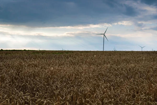 Krajobraz Turbinami Wiatrowymi Wytwarzającymi Energię Terenie — Zdjęcie stockowe