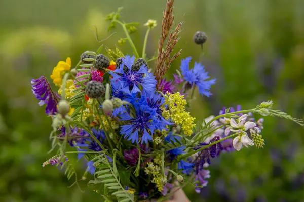 Detail Eines Hand Haltenden Straußes Bunter Wildblumen Während Der Sommersaison — Stockfoto