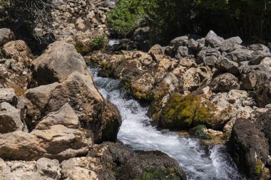 Krupa Nehri Vadisi Karst Pınarı yakınında.